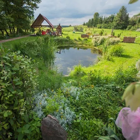 Bed & Breakfast Agroturystyczny Pod Modrzewiem Florczaki