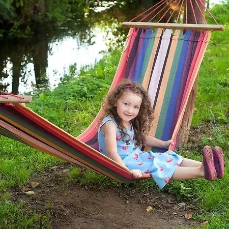 Bed & Breakfast Agroturystyczny Pod Modrzewiem Florczaki